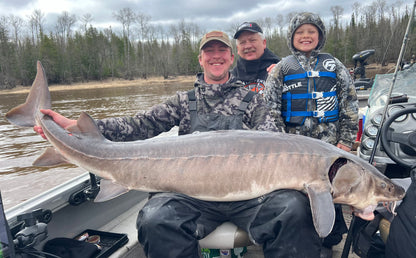 Quad Fold Sturgeon Bumper